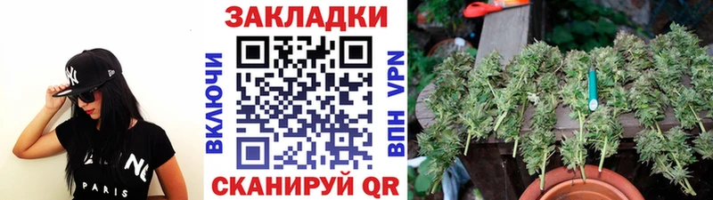 Наркошоп купить Бошки Шишки АМФ Мефедрон A-PVP Камень-на-Оби