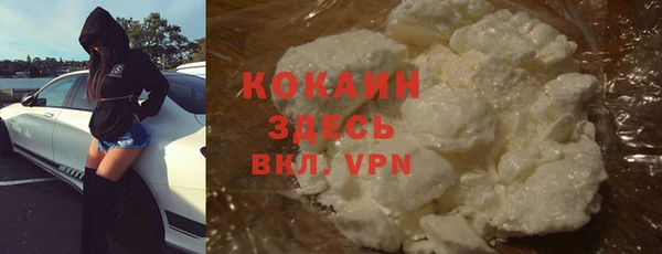 сатива Заводоуковск