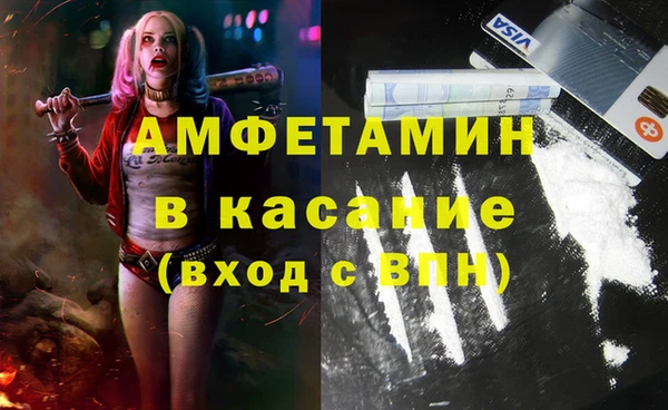 сатива Заводоуковск
