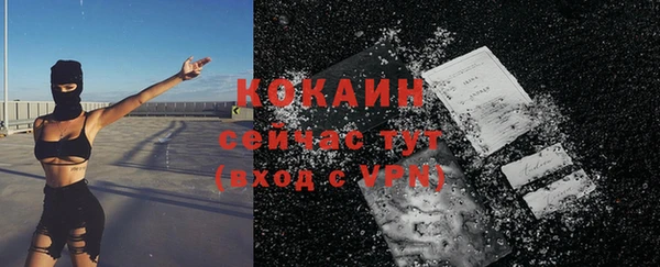 сатива Заводоуковск