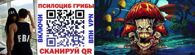 Купить где  Камень-на-Оби  Псилоцибиновые грибы мицелий 